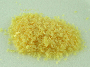 Candelilla Wax: Uncovering the beauty and blemishes behind wild-sourced  ingredients - Wildlife Trade News from TRAFFIC